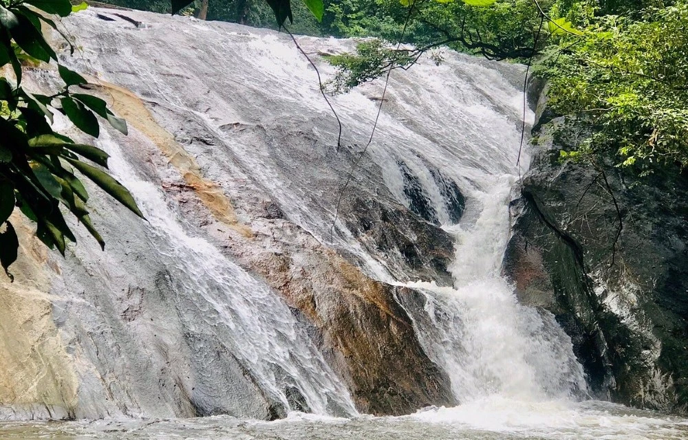 Dhoni Waterfalls in Palakkad Pictures